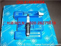 欧宝雅特火花塞